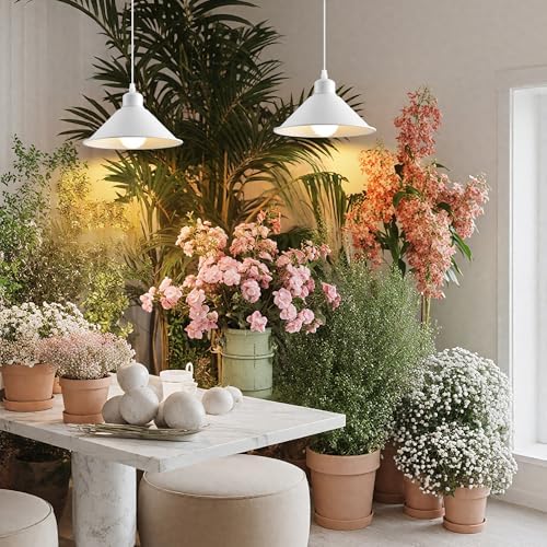 8.2IN 2 Pack White Plug-in Pendant Lights