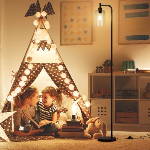 Ziisee Black Industrial Floor Lamp with Glass Shade