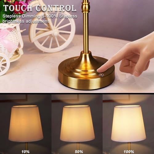 Rechargeable Cordless Touch LED Table Lamp, Bronze