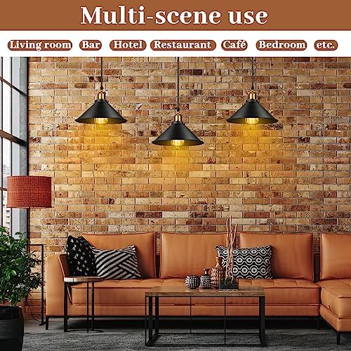 Retisee 6 Pcs Industrial Pendant Light, Black