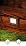 LEONLITE 6-Pack 120V LED Horizontal Step Lights