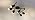 Bojim 6-Light Black Kitchen Track Lighting Fixture